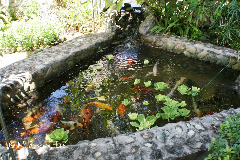 Enchanted Waters Tobago Buccoo Extérieur photo